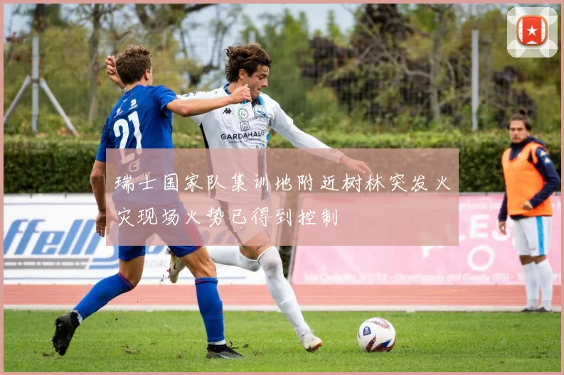 瑞士国家队集训地附近树林突发火灾现场火势已得到控制