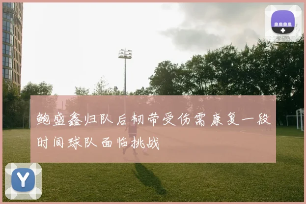 鲍盛鑫归队后韧带受伤需康复一段时间球队面临挑战